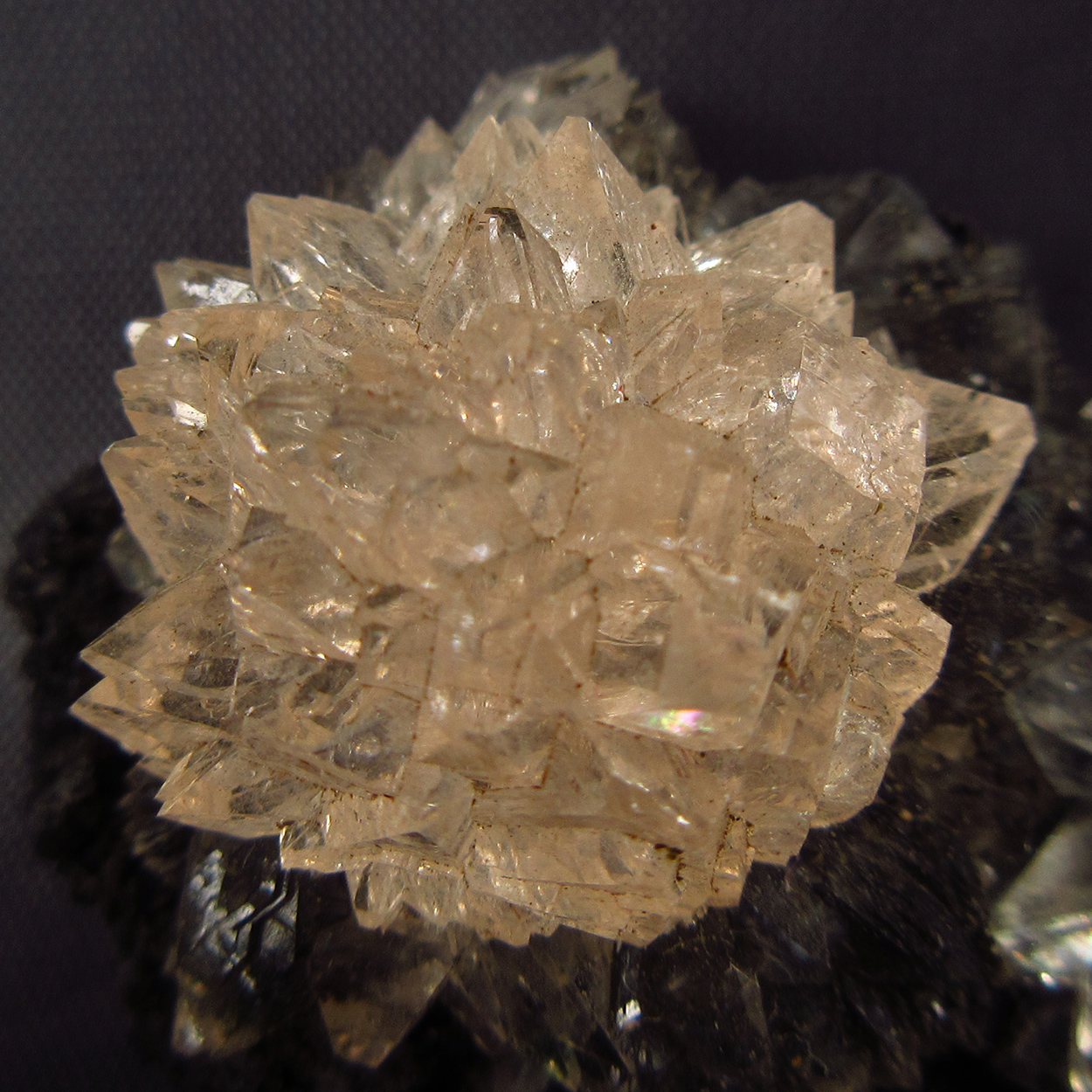 Apophyllite