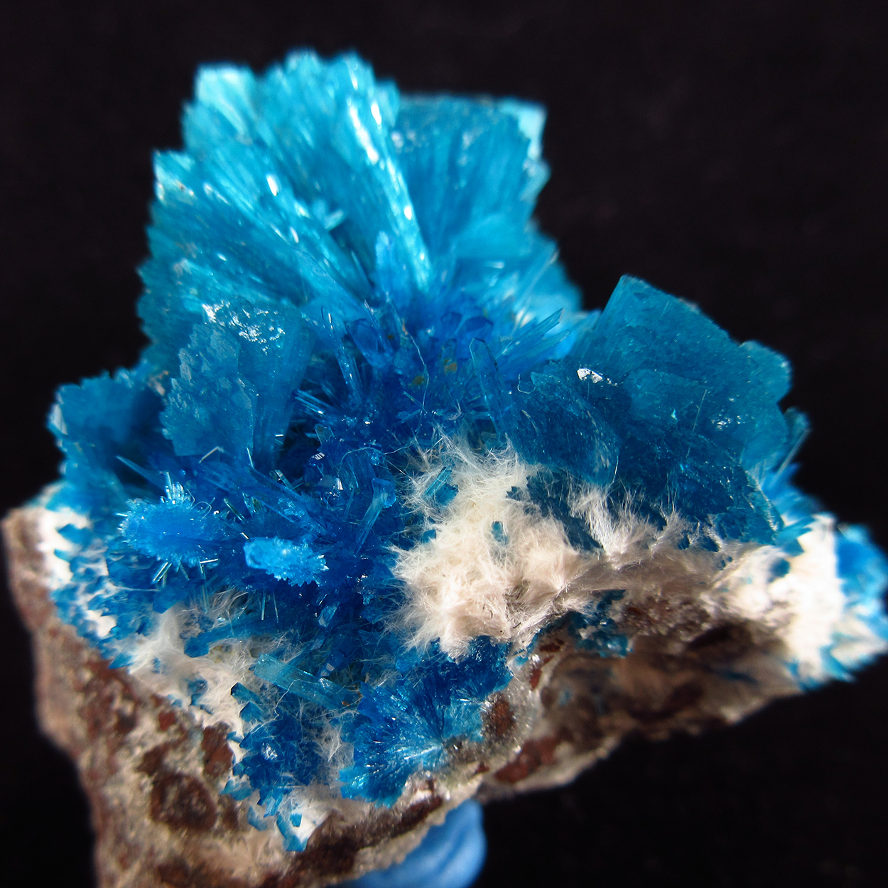 Cavansite & Pentagonite On Mordenite