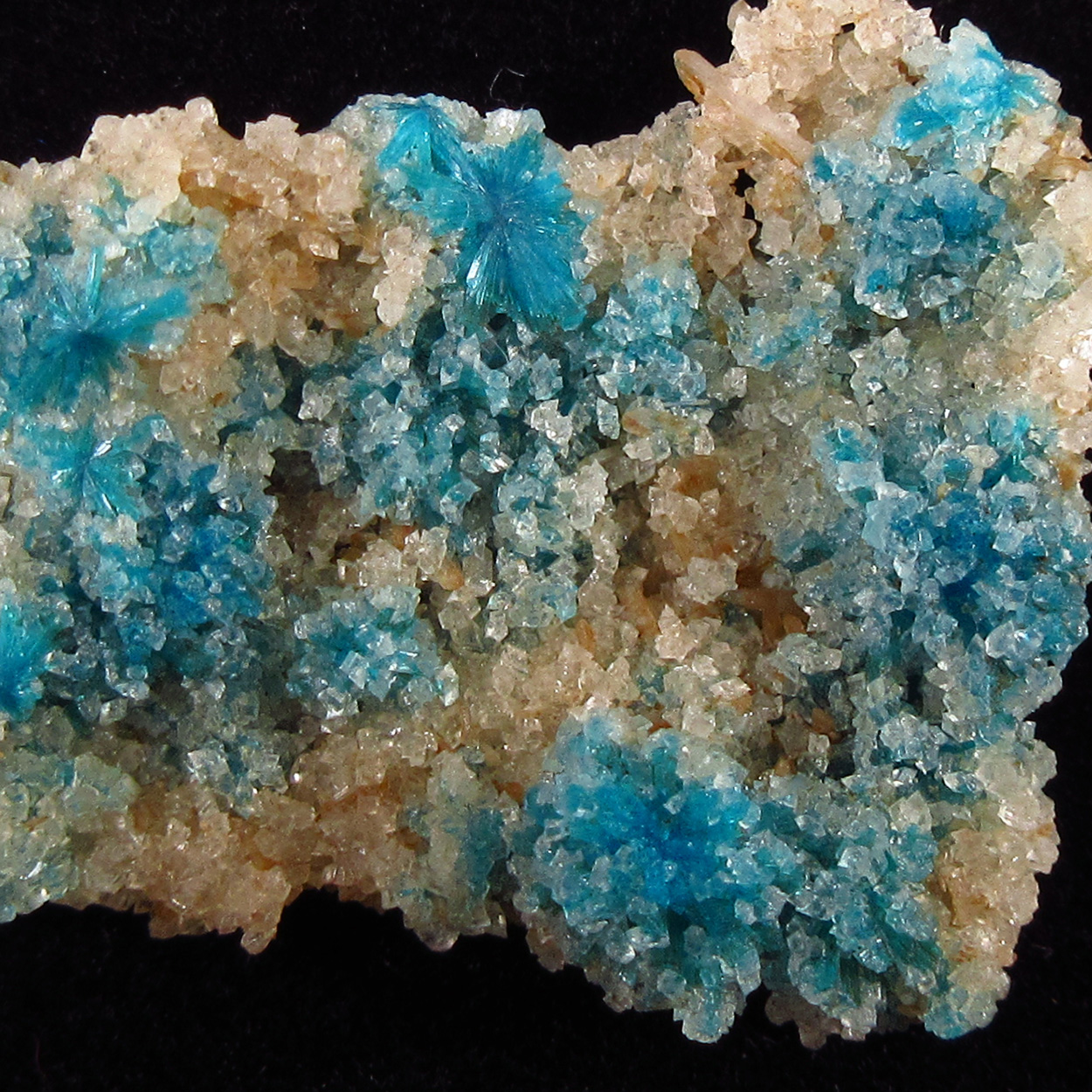 Cavansite With Calcite