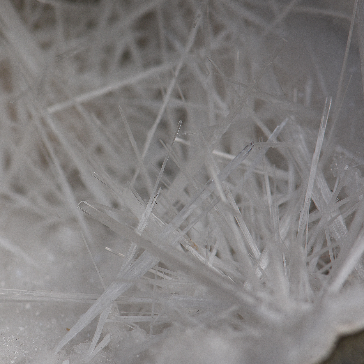 Scolecite On Quartz