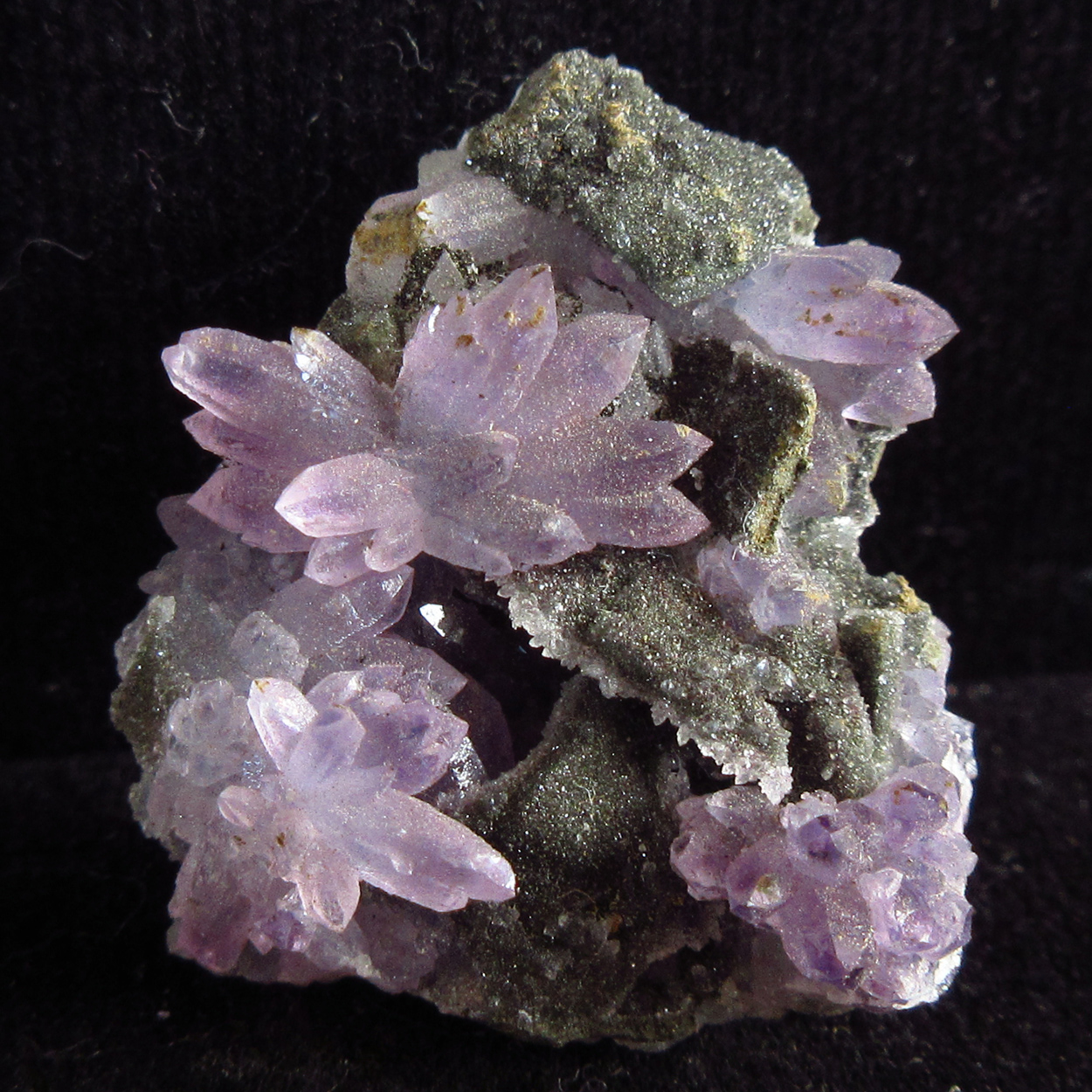 Amethyst On Chalcedony