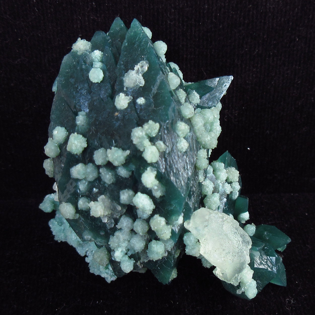 Apophyllite & Calcite On Chalcedony