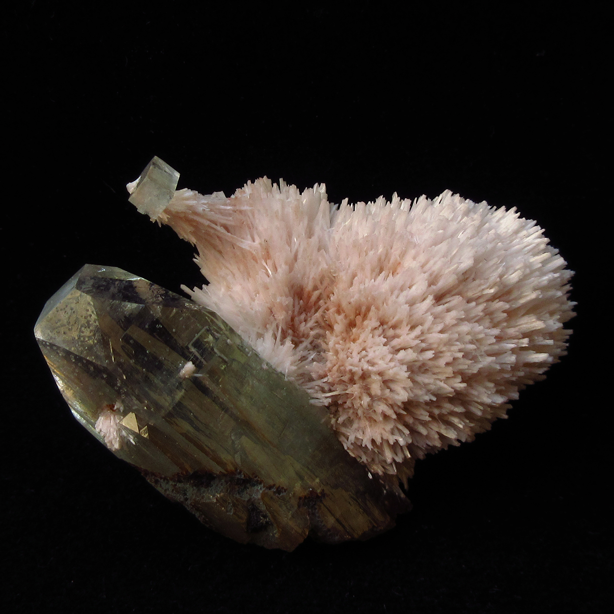 Apophyllite On Mordenite