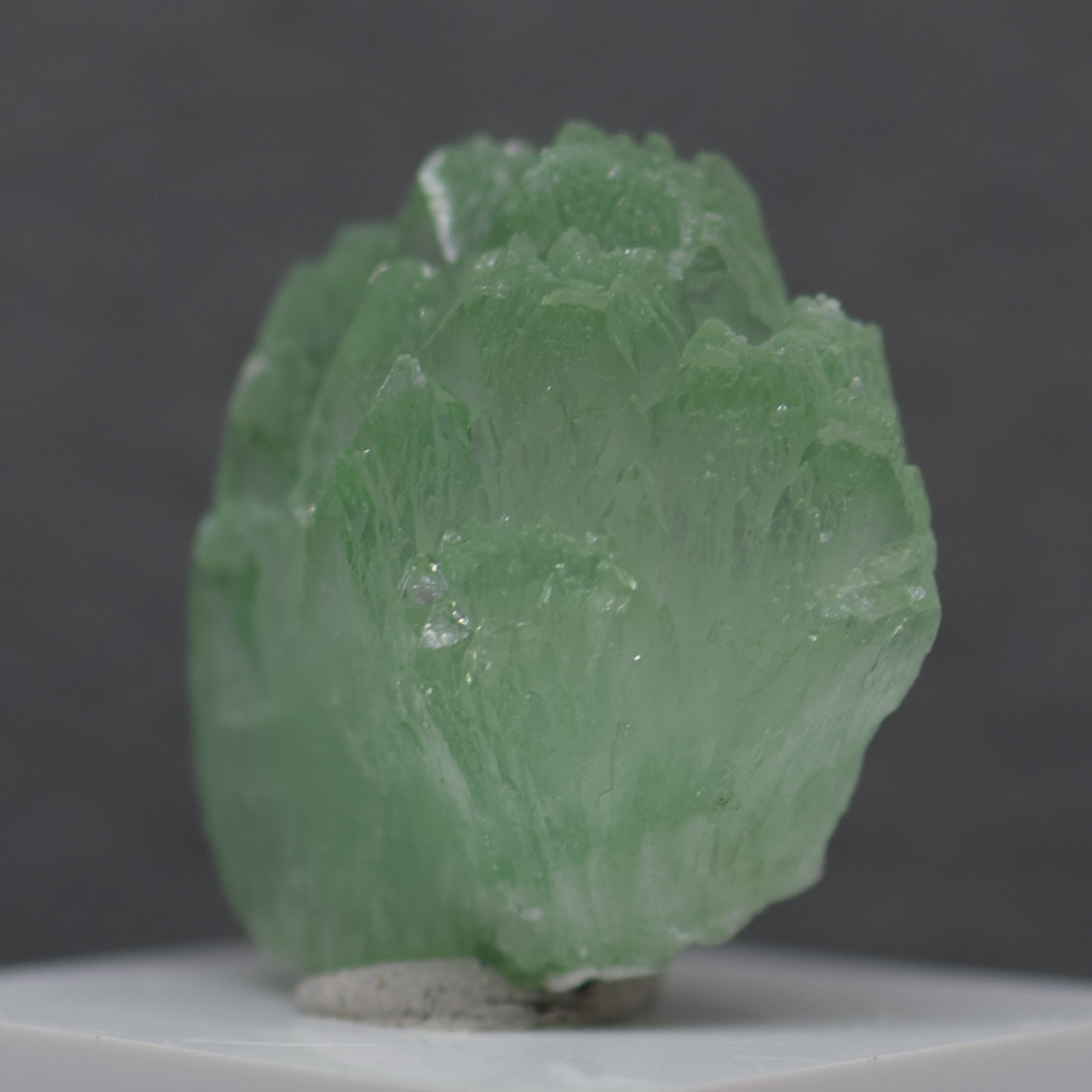 Apophyllite