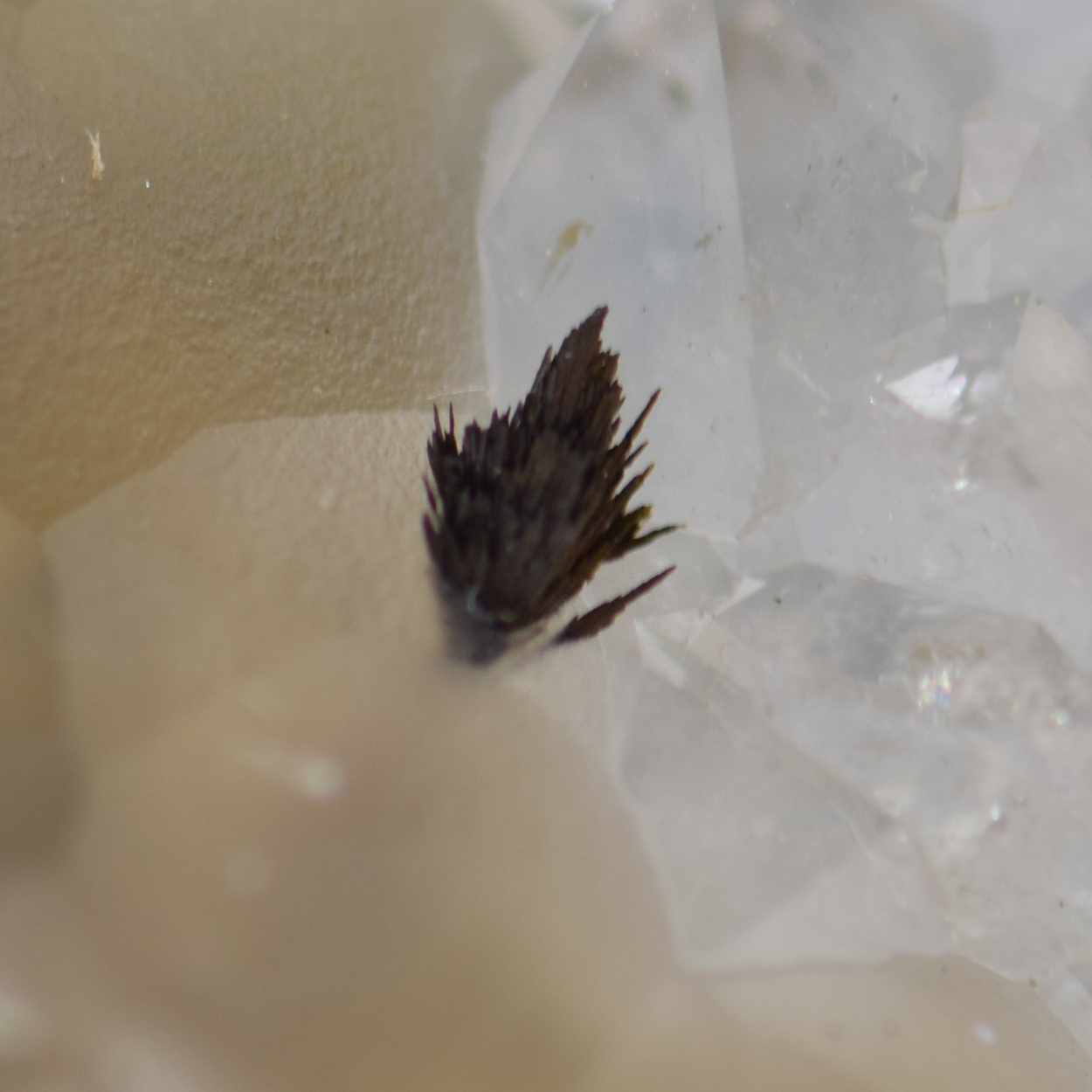 Fluorite With Hematite On Quartz