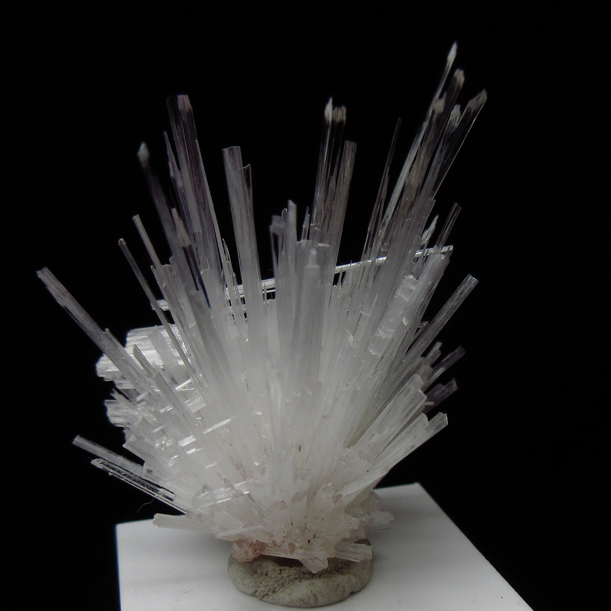 Scolecite