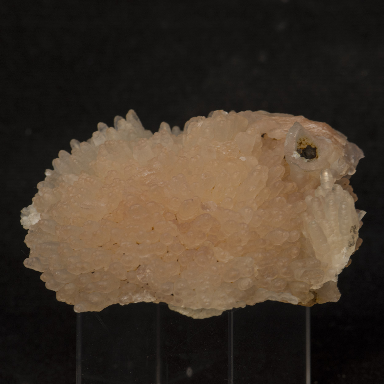 Scolecite