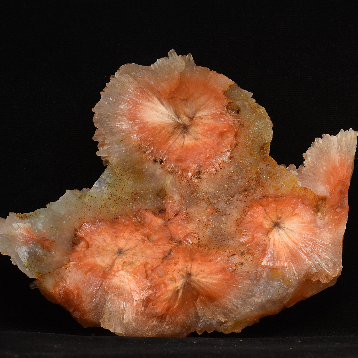 Chalcedony On Scolecite