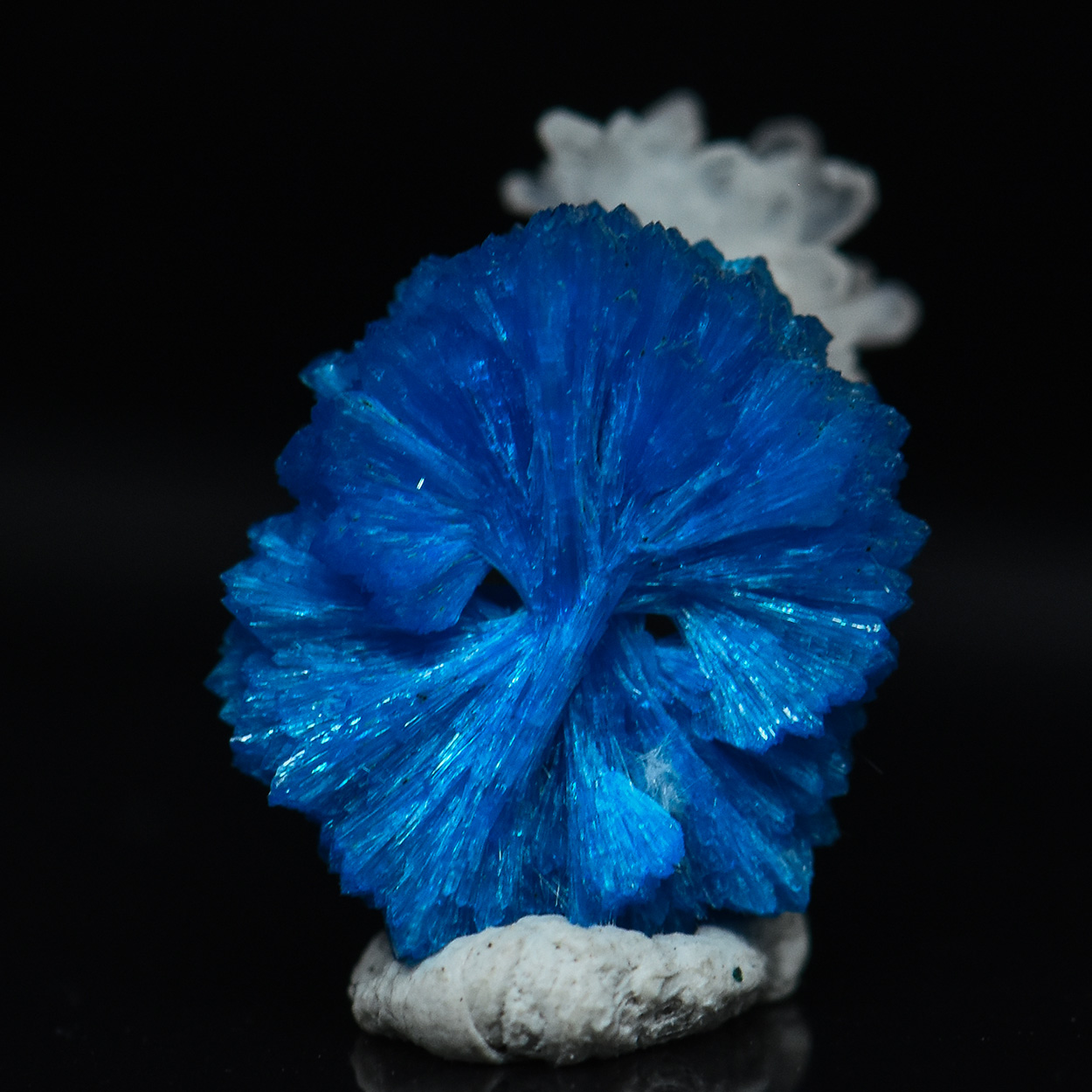 Cavansite & Stilbite