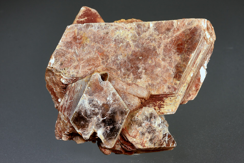 Muscovite