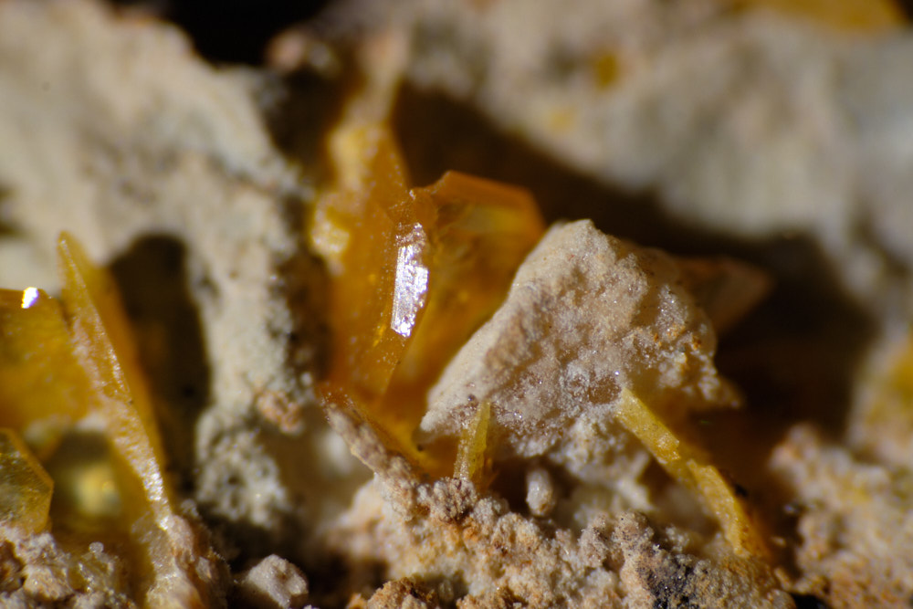 Wulfenite