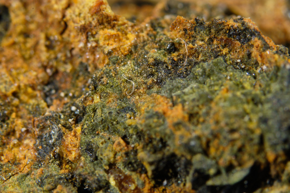 Deliensite Uraninite & Rabejacite