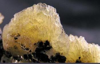 Cerussite