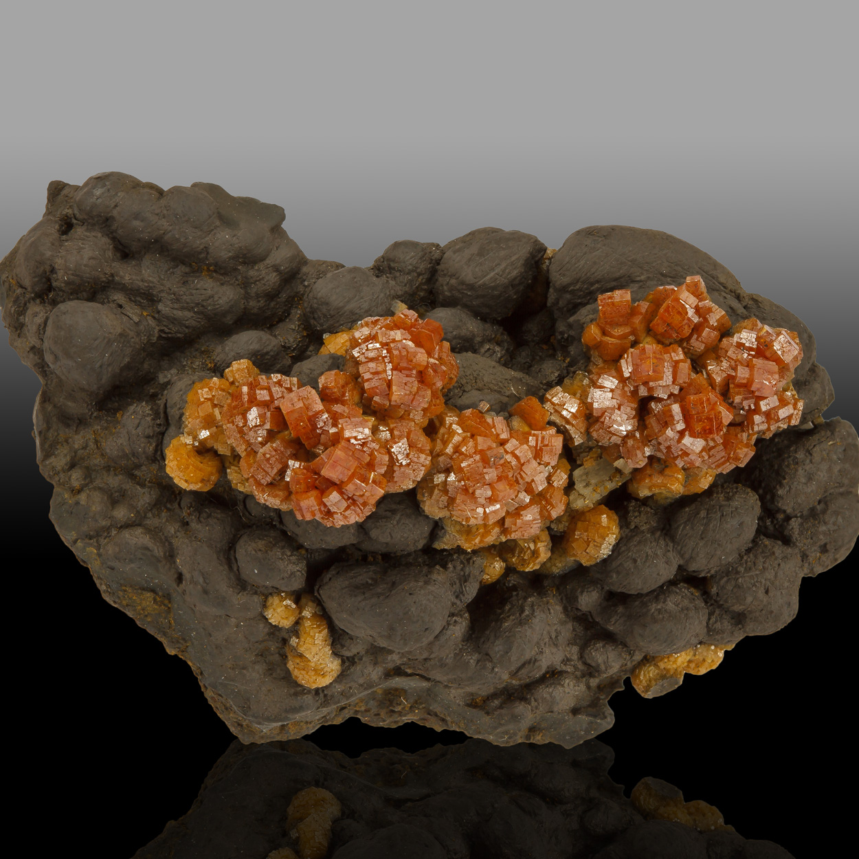 Coronadite & Vanadinite