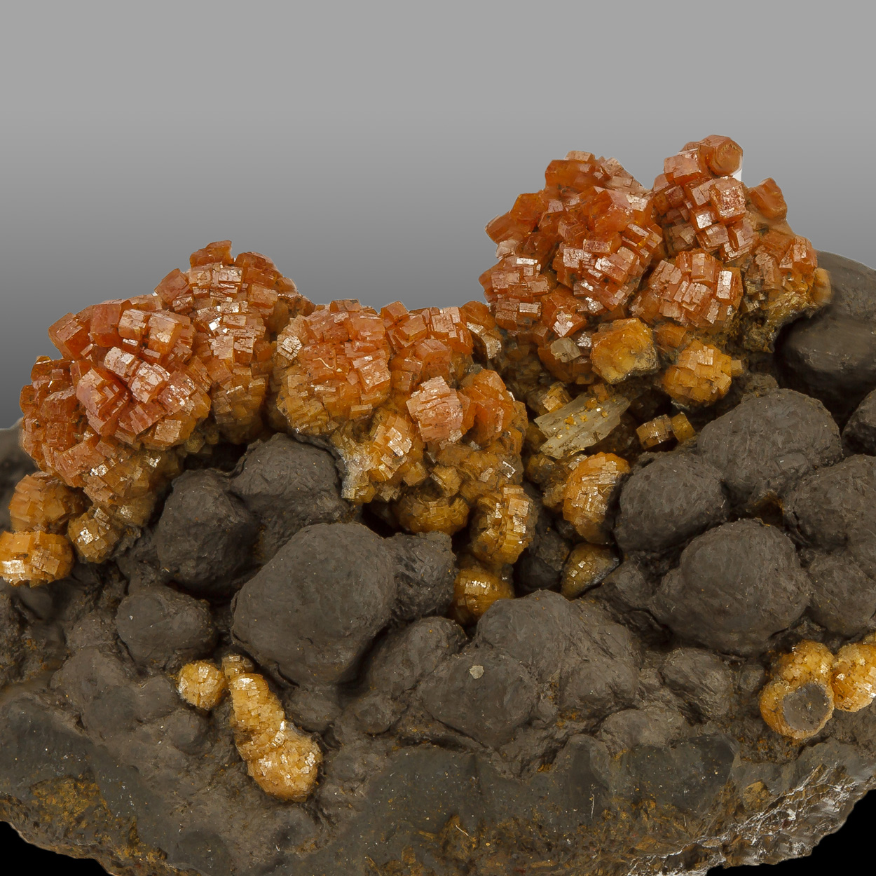 Coronadite & Vanadinite