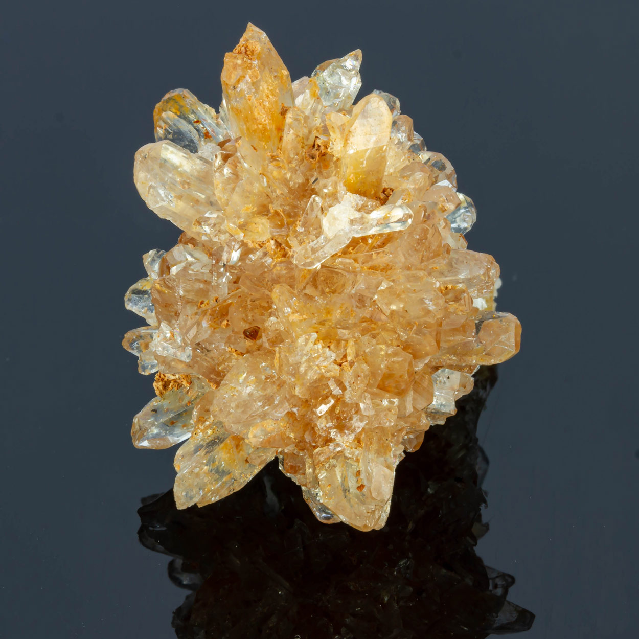 Creedite