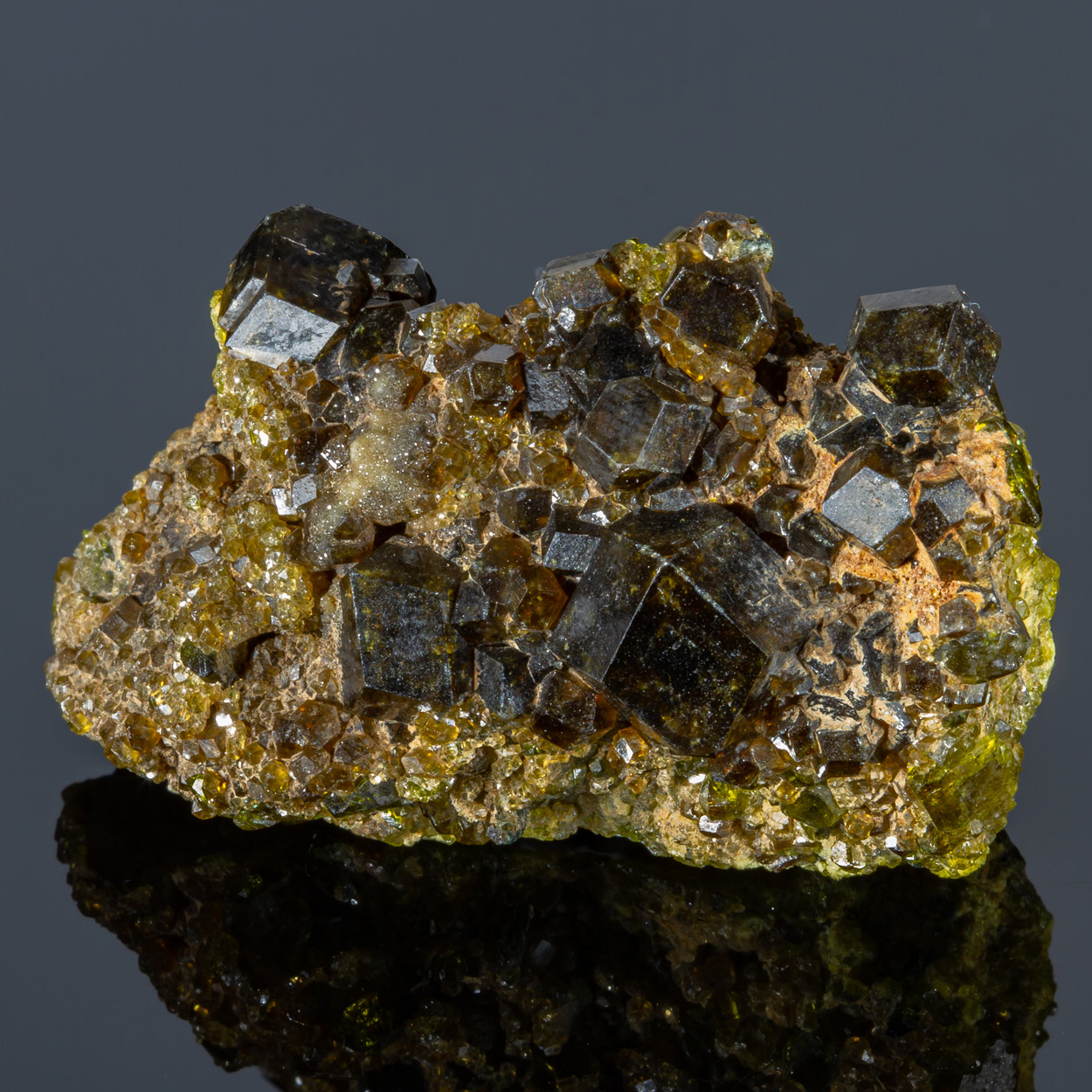 Andradite & Melanite