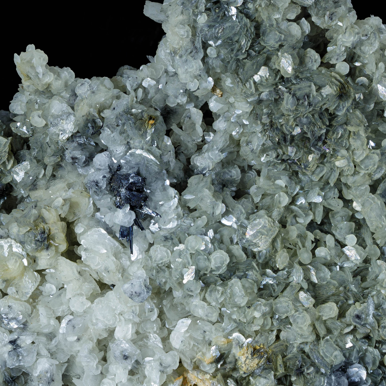 Siderite & Stibnite