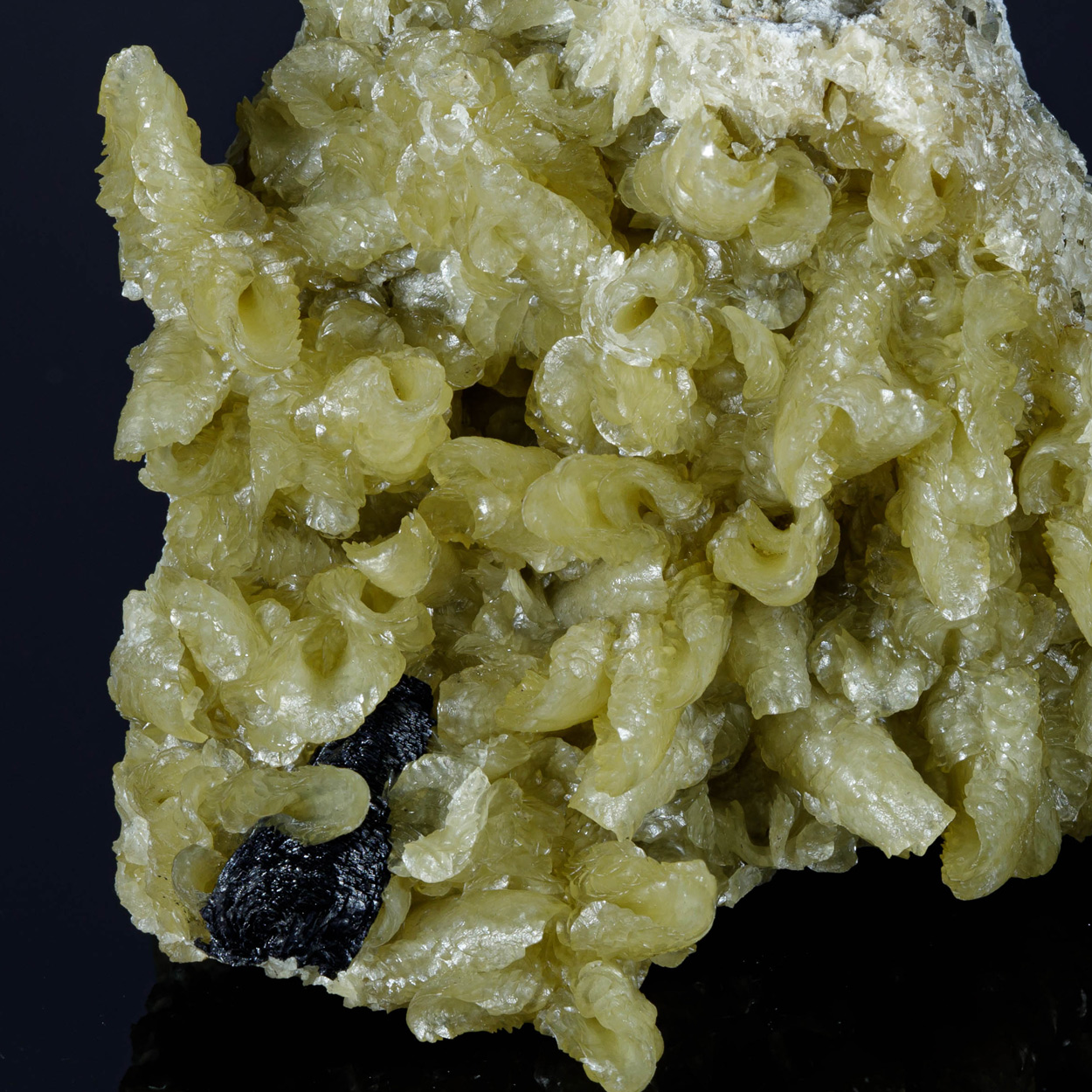 Wolframite & Calcite