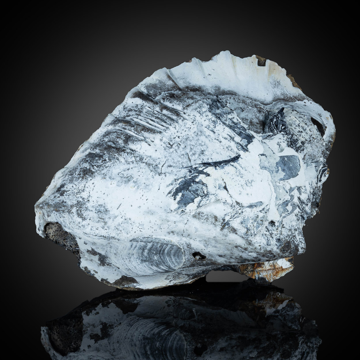 Vivianite
