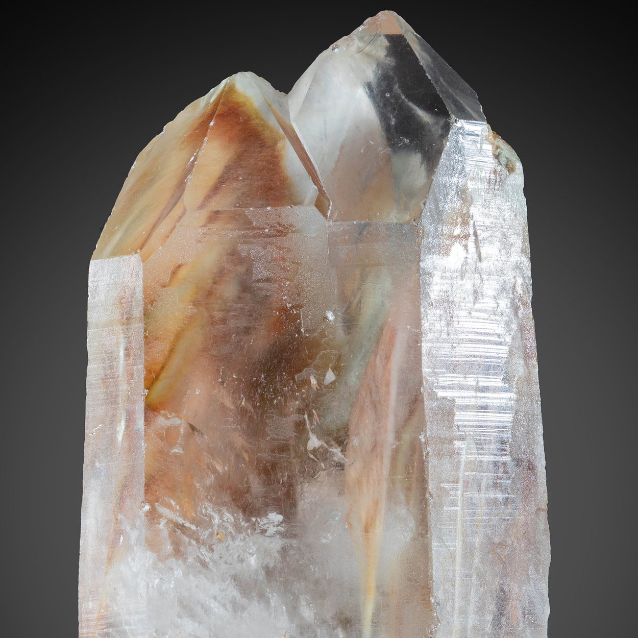 Quartz With Amphibole Inclusions