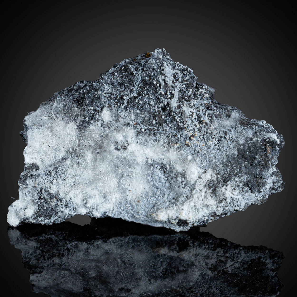 Canavesite & Dypingite