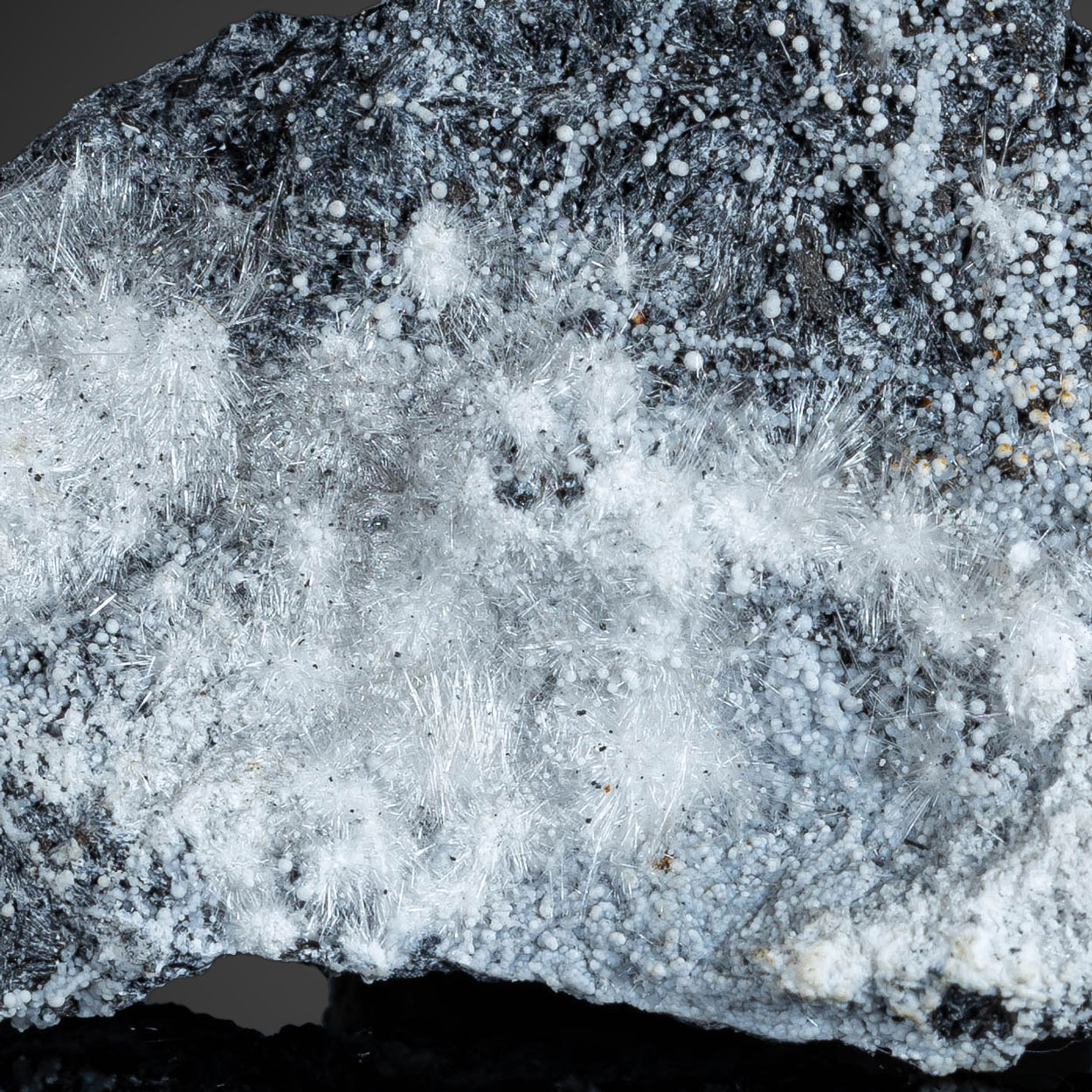 Canavesite & Dypingite