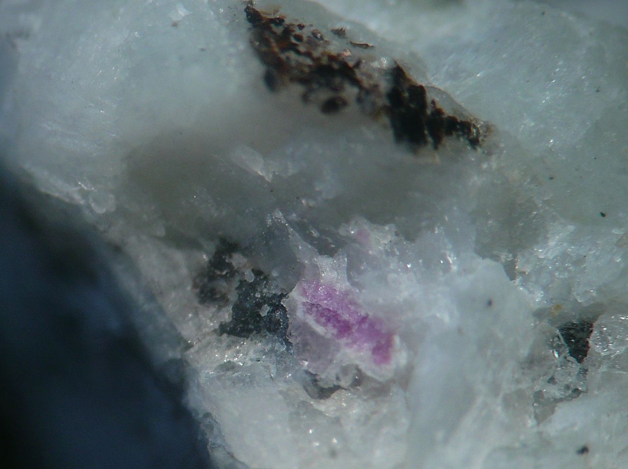 Hercynite & Biotite