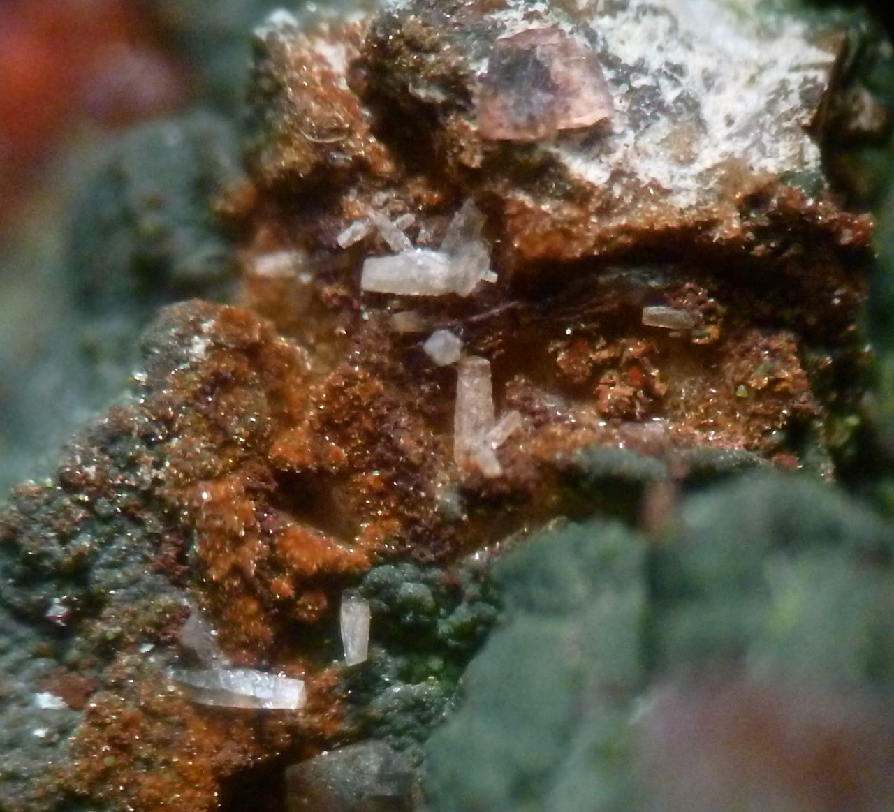 Cobaltaustinite Cobaltlotharmeyerite & Roselite