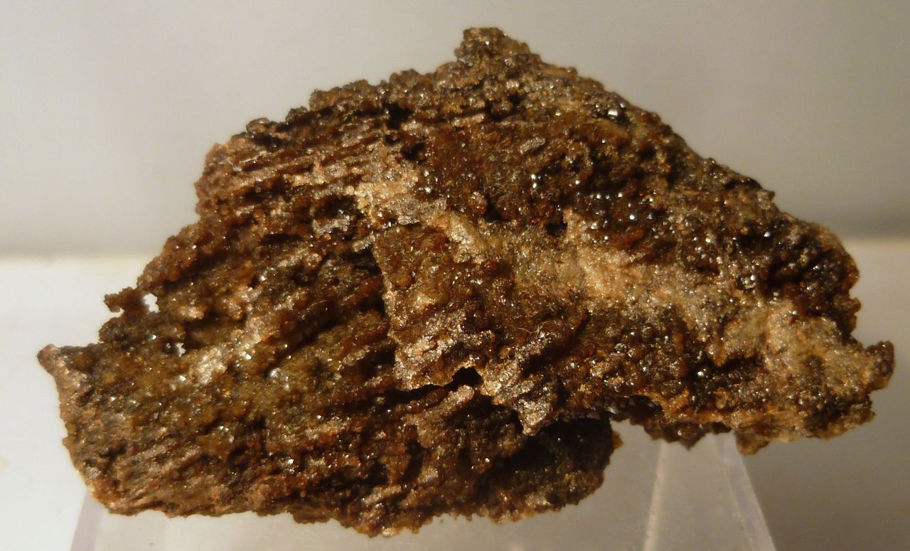 Correianevesite