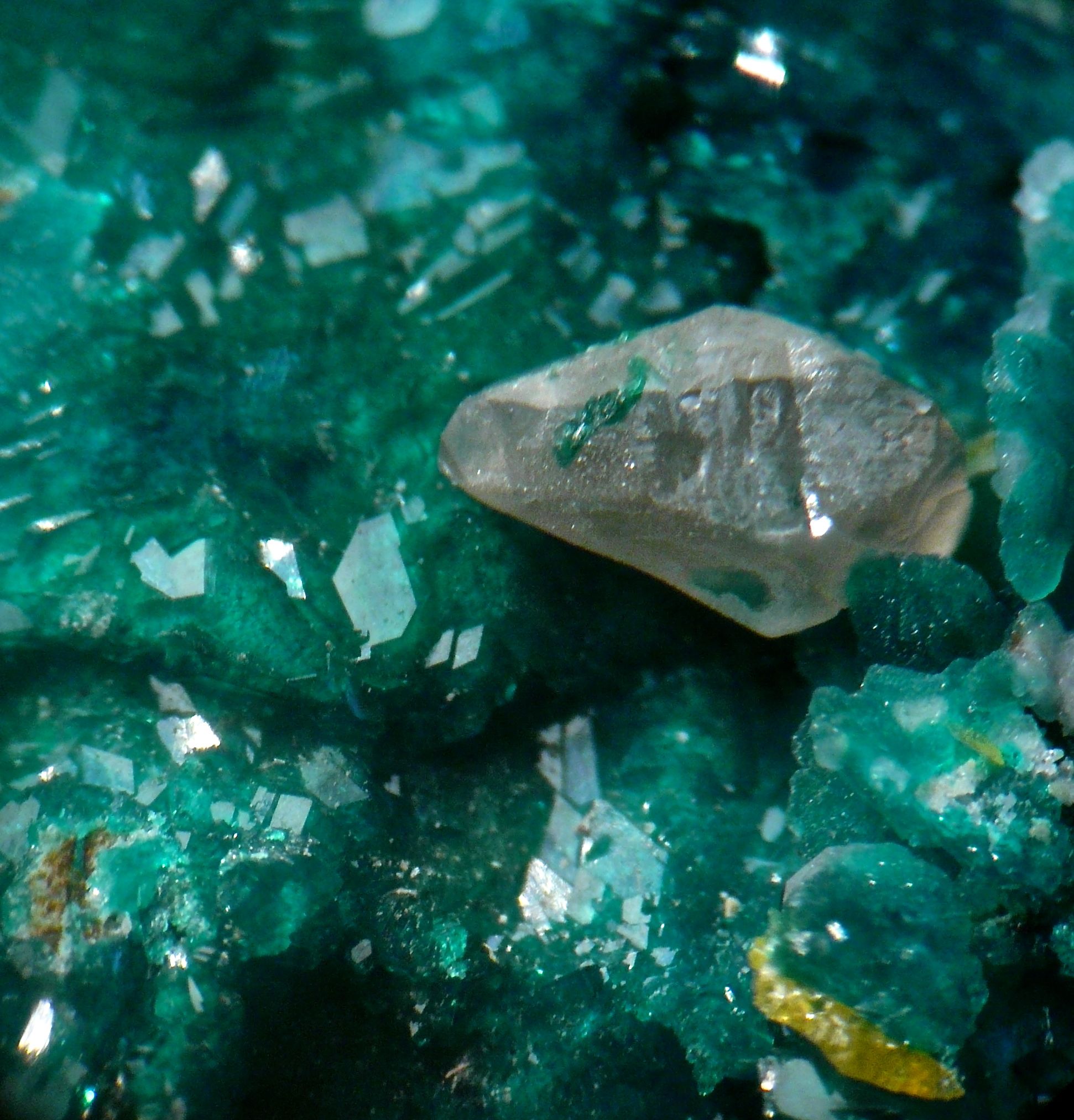 Dioptase & Wulfenite