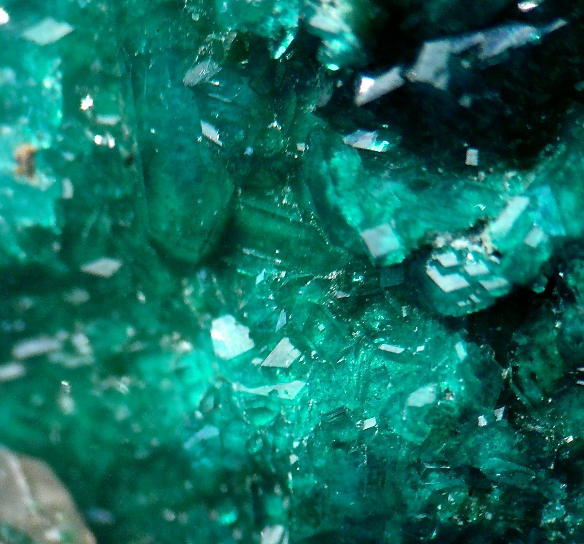 Dioptase & Wulfenite