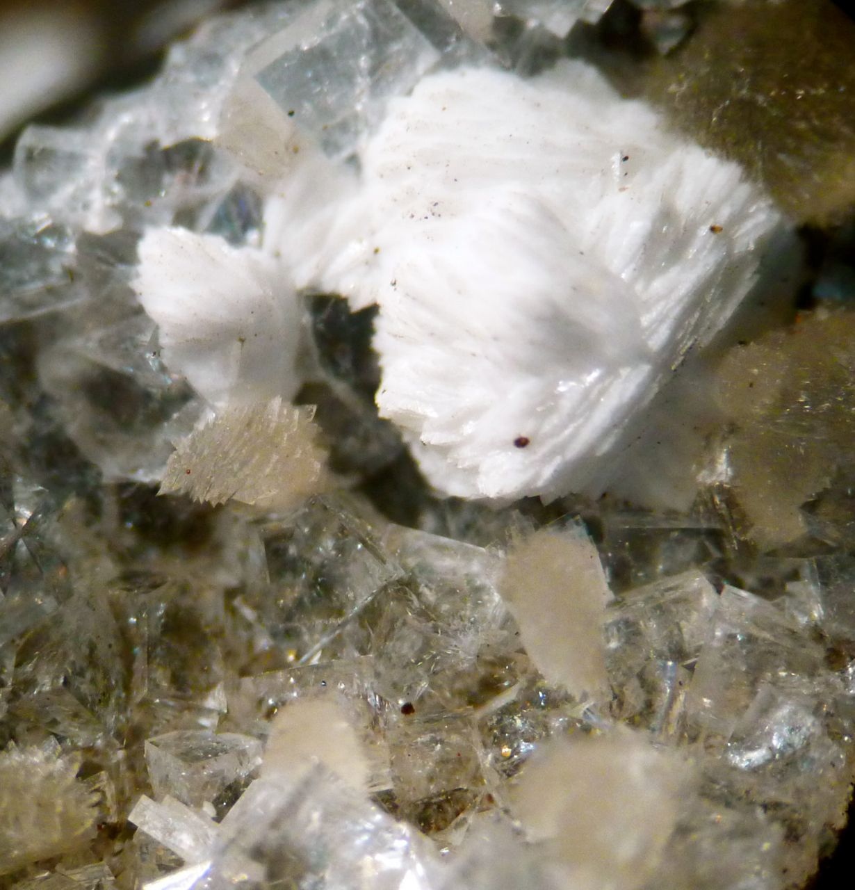 Gismondine Thomsonite & Chabazite