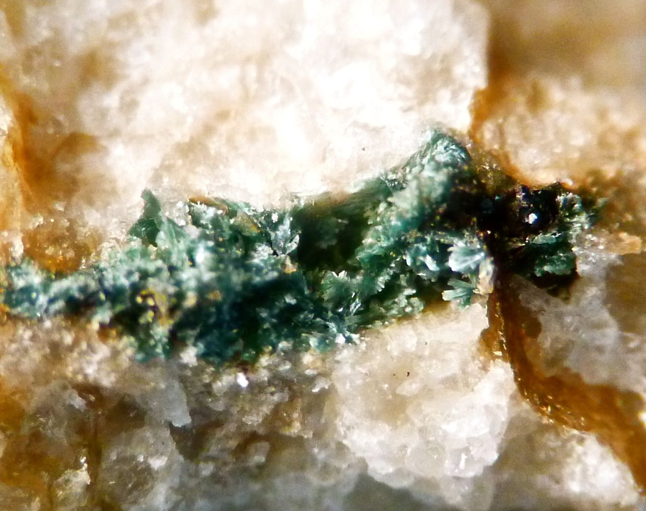 Gormanite