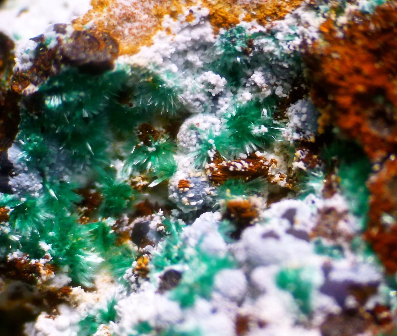 Malachite Chalcoalumite & Azurite