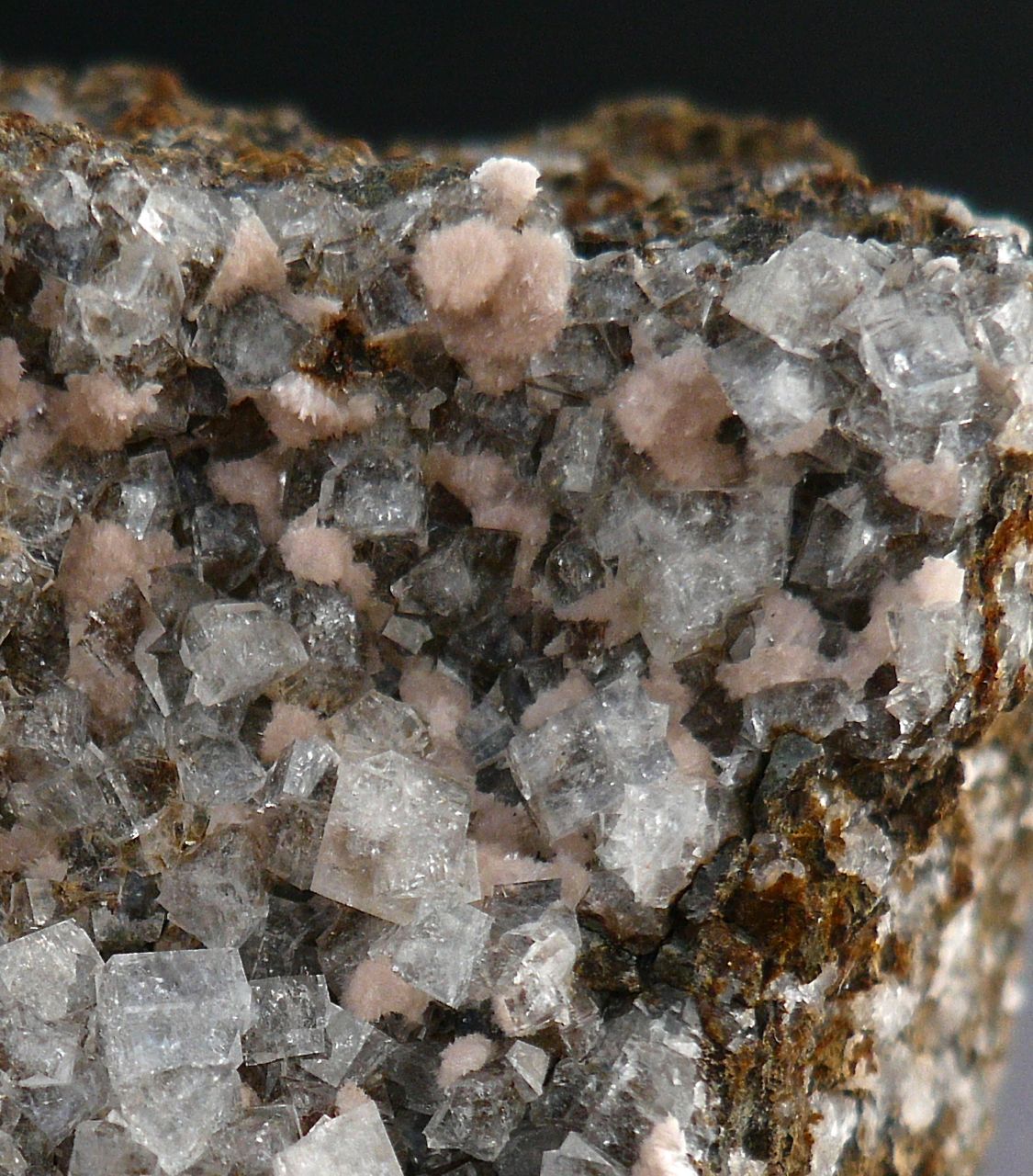 Thomsonite & Chabazite