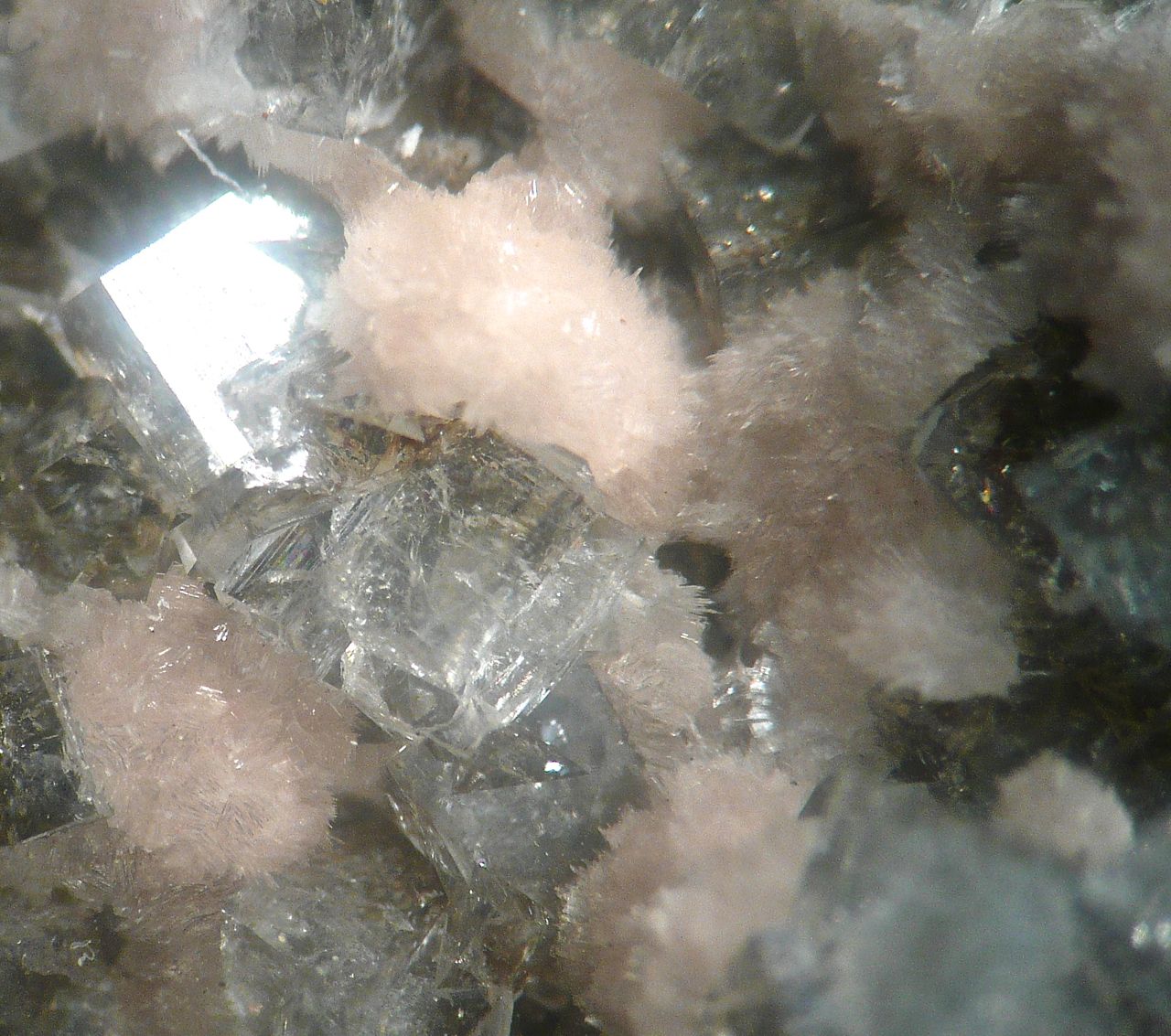 Thomsonite & Chabazite