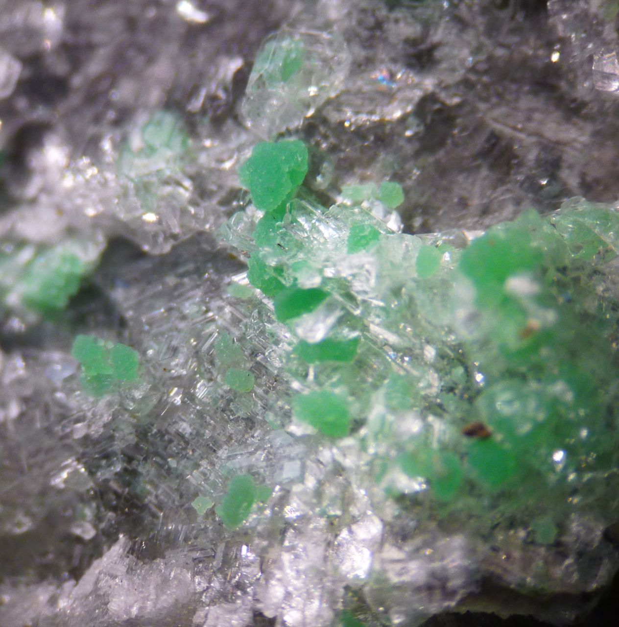 Variscite & Gypsum