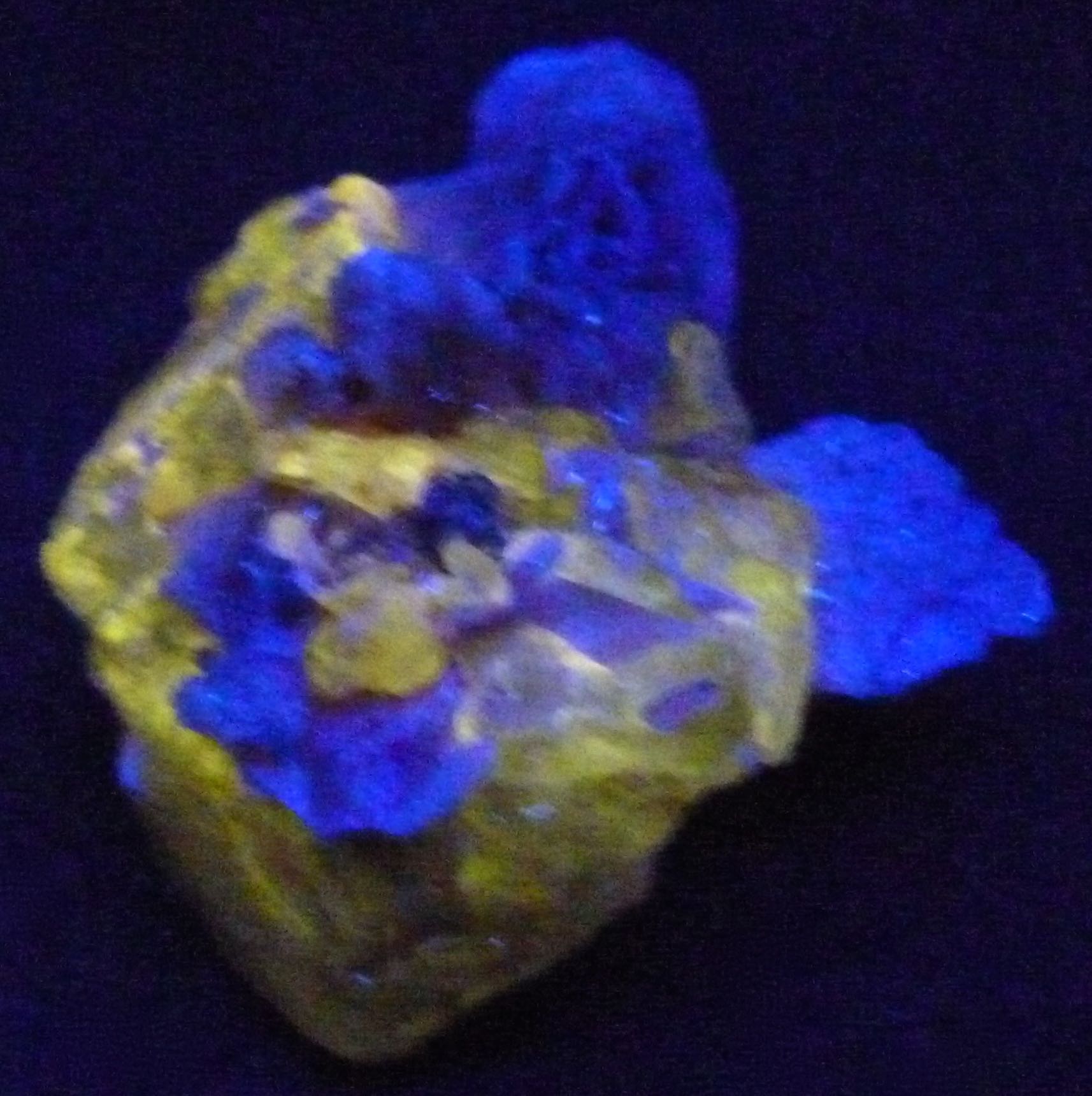 Cerussite