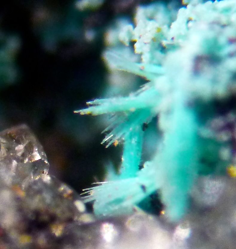 Chrysocolla Duhamelite & Shattuckite