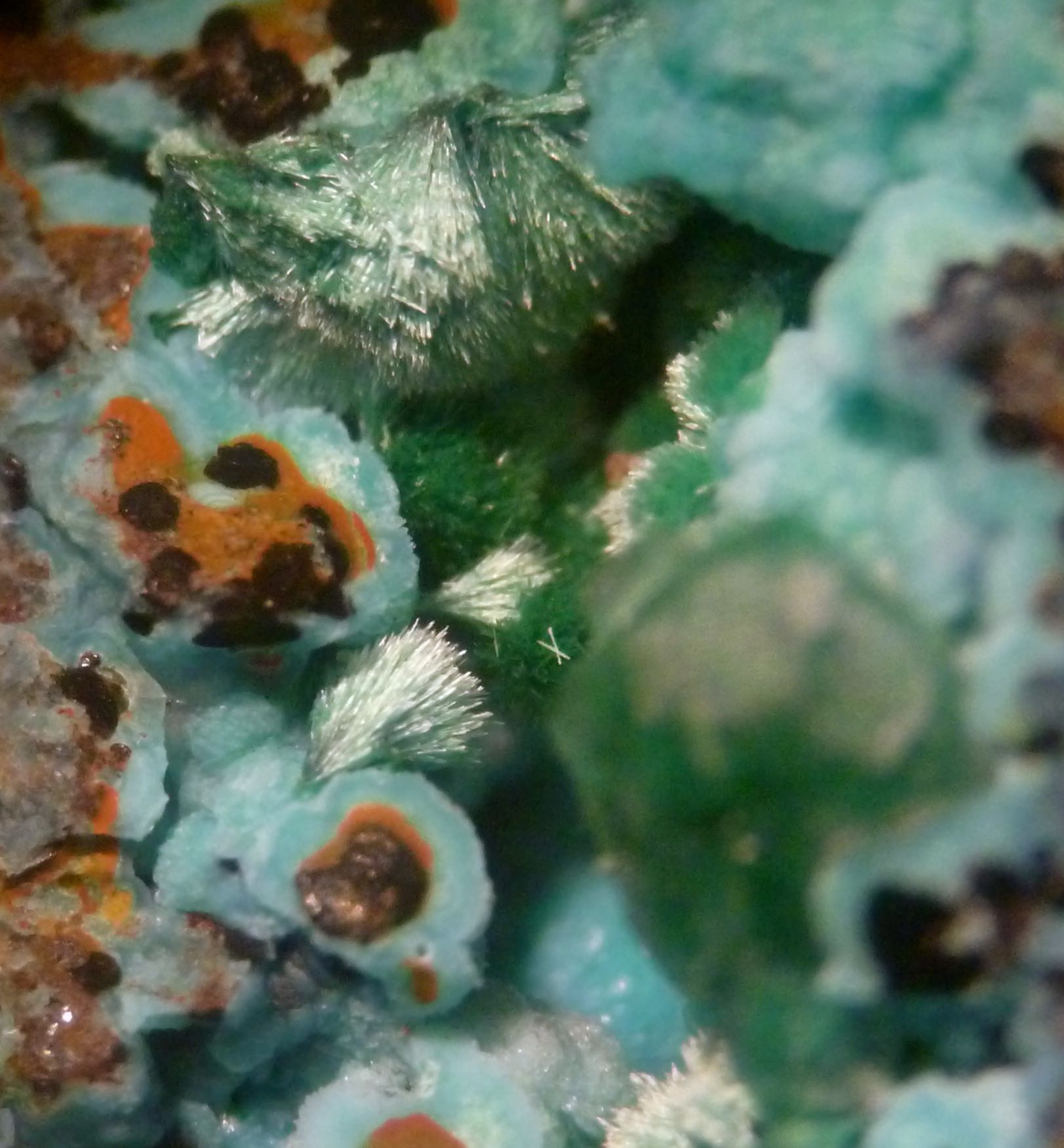 Chrysocolla & Malachite