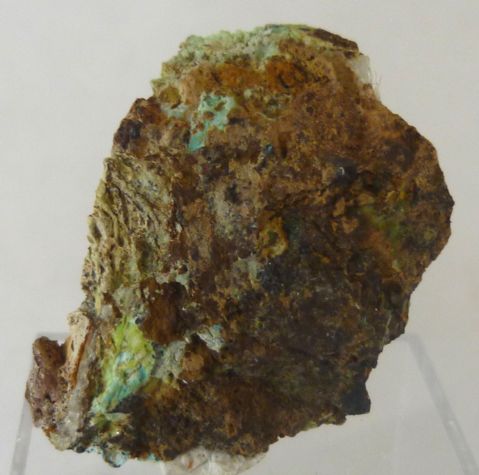 Mottramite Phosphohedyphane & Chrysocolla