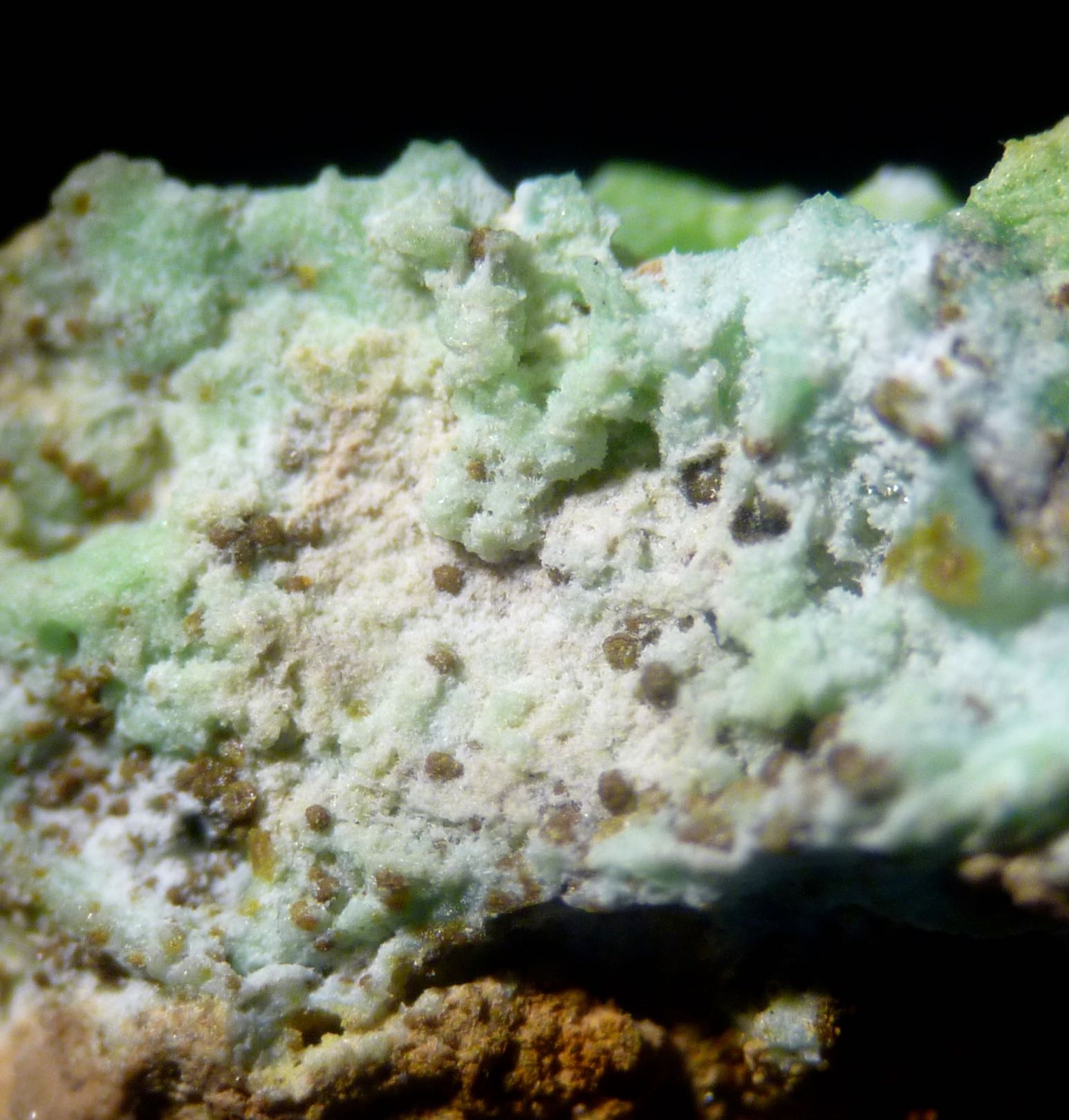 Mottramite Phosphohedyphane & Chrysocolla