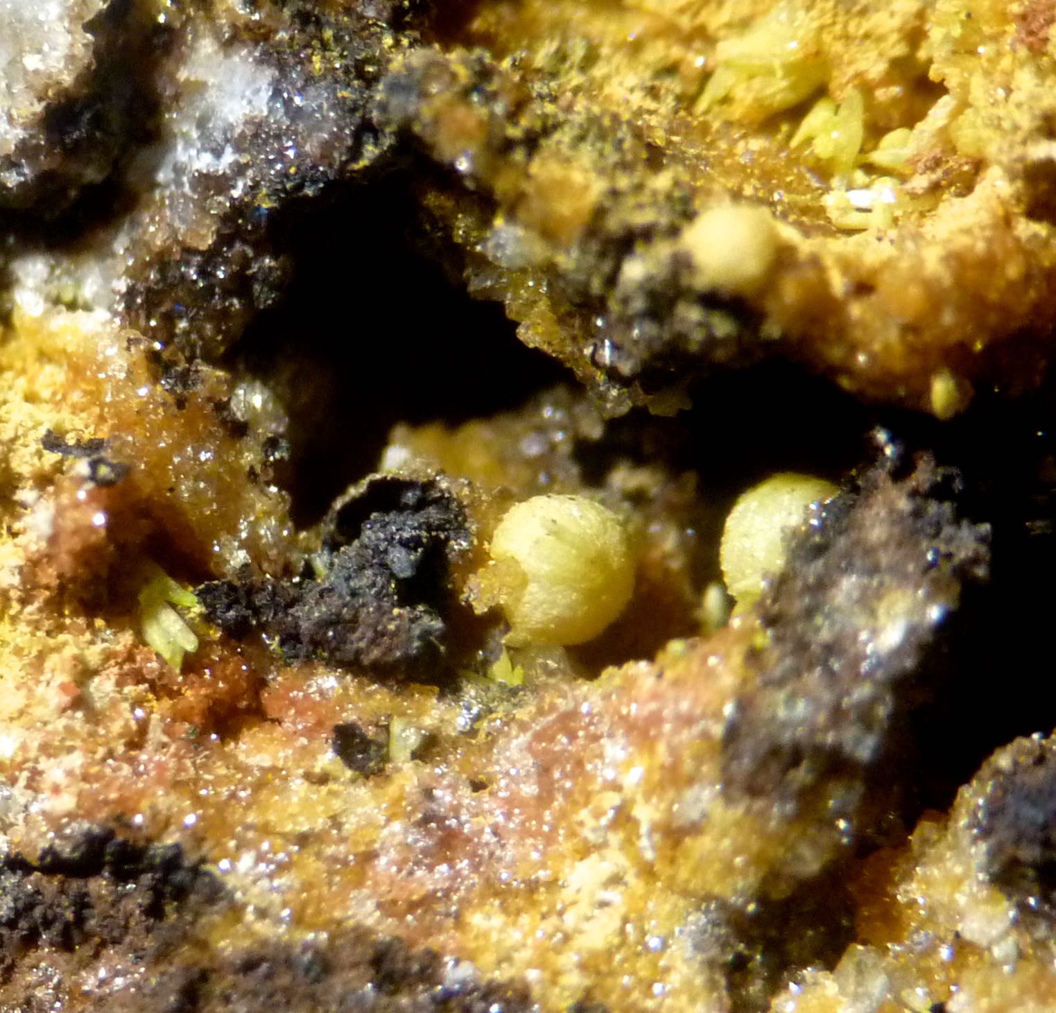 Pyromorphite & Mimetite