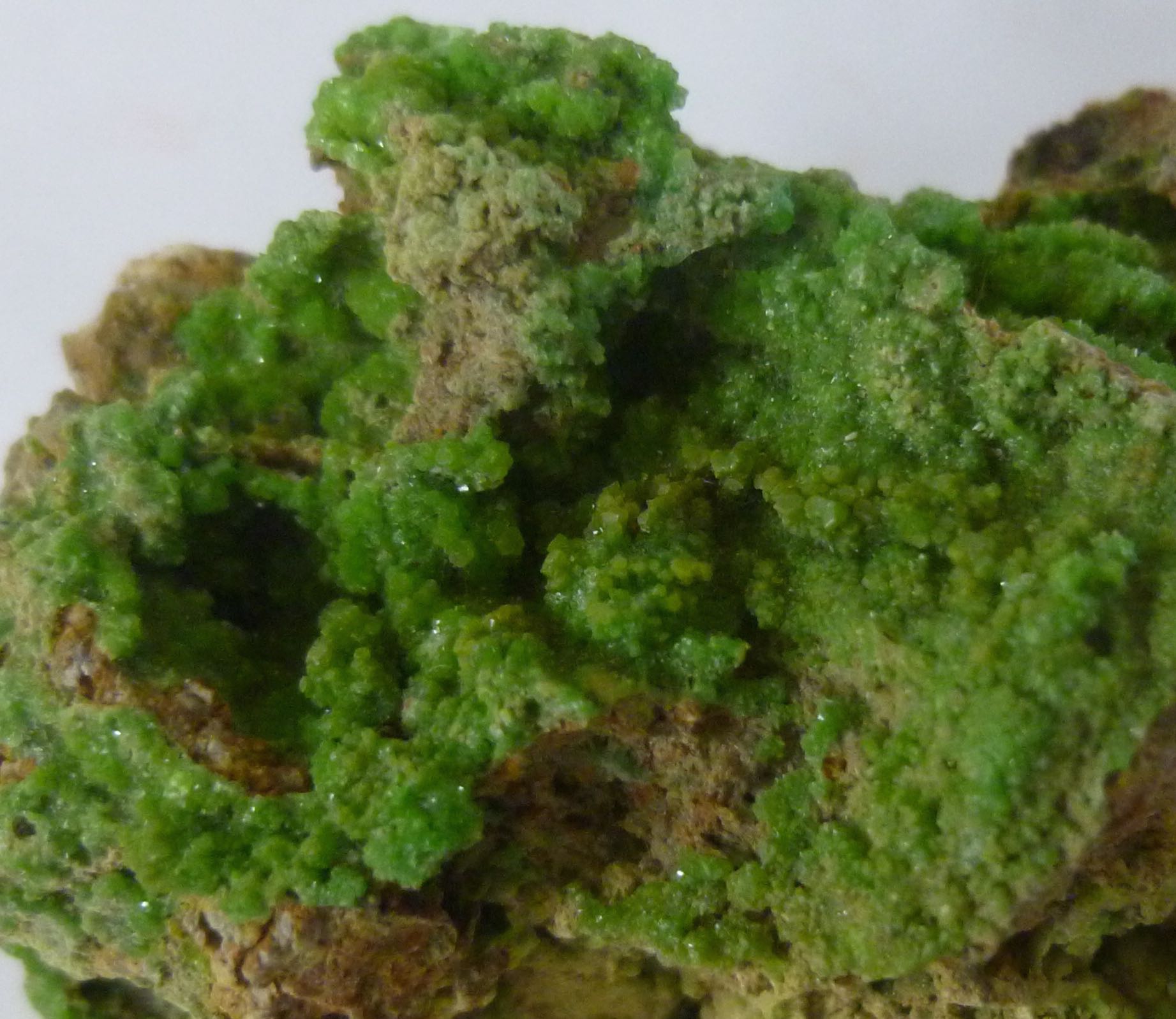 Pyromorphite