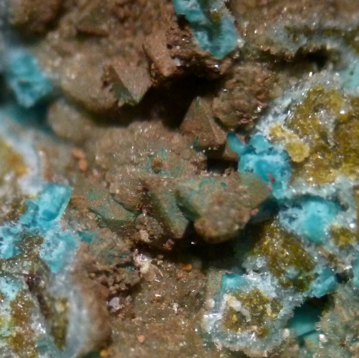 Chrysocolla Psm Veszelyite & Hemimorphite