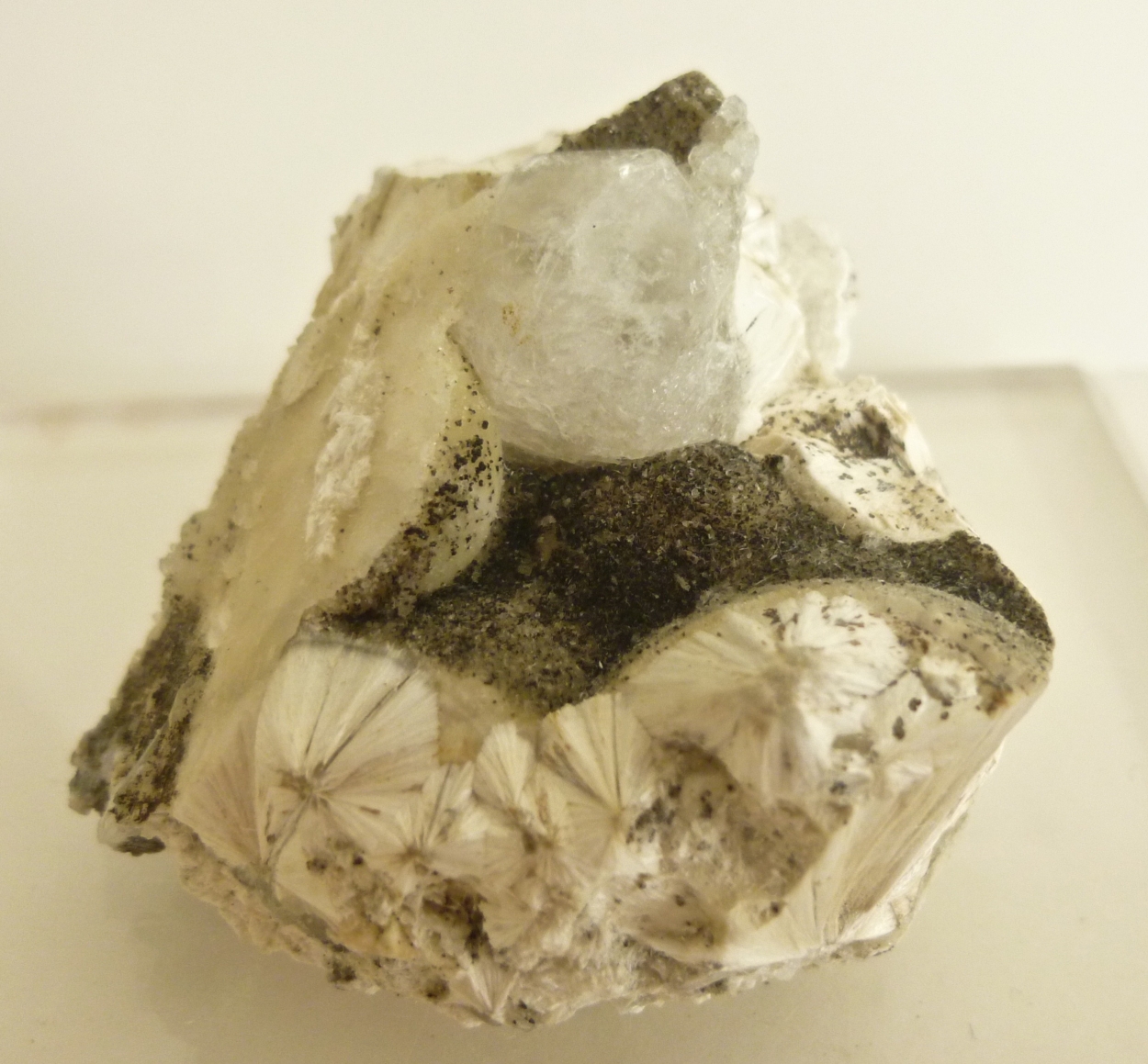 Analcime & Pectolite