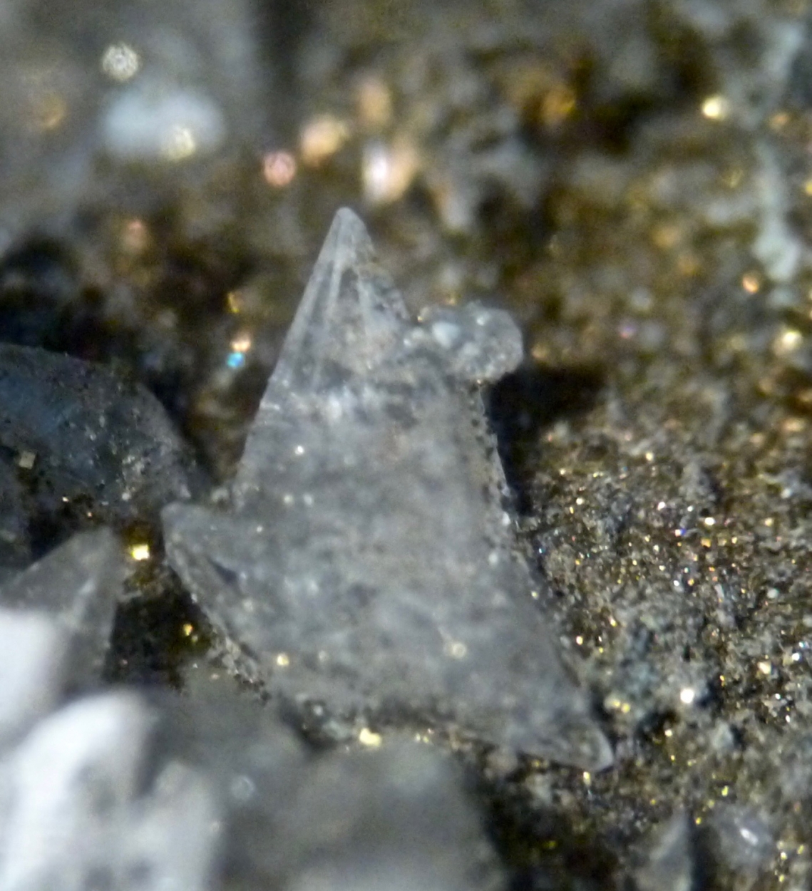 Pyrite & Calcite