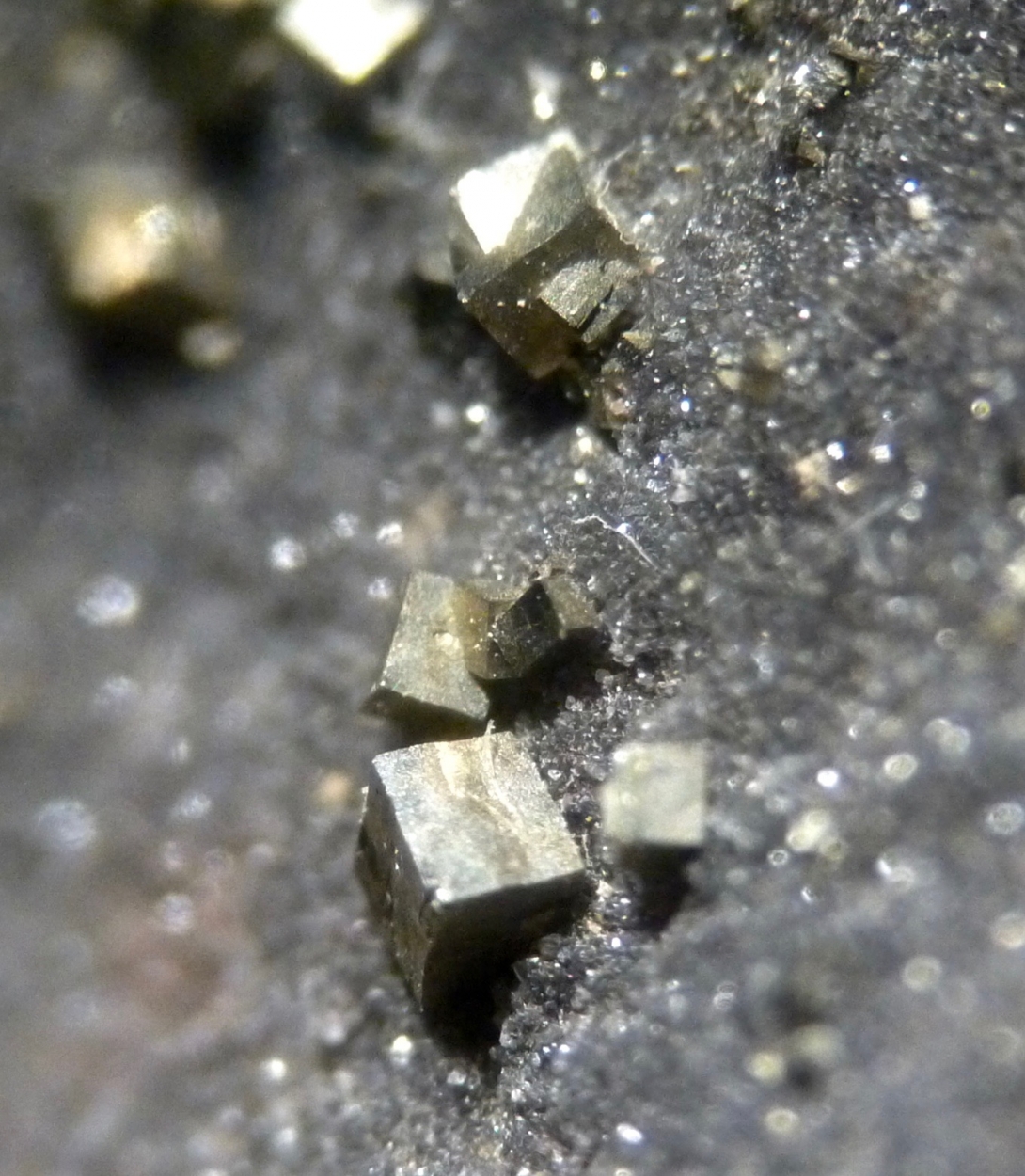 Pyrite & Quartz