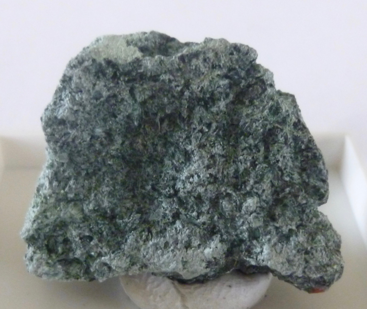 Actinolite